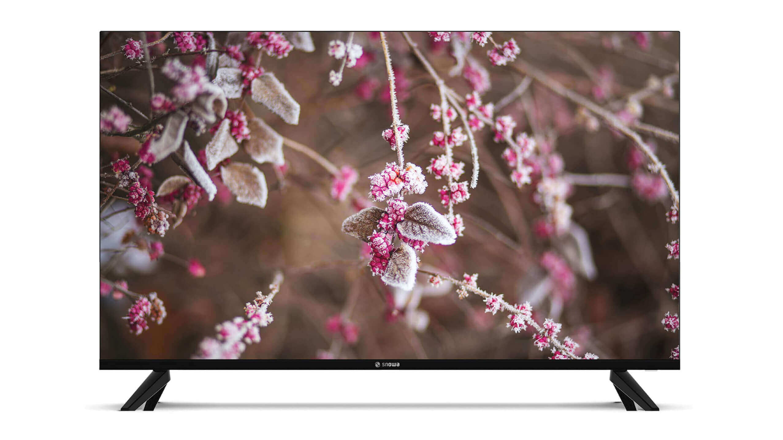 Snowa SSD-50SA620U