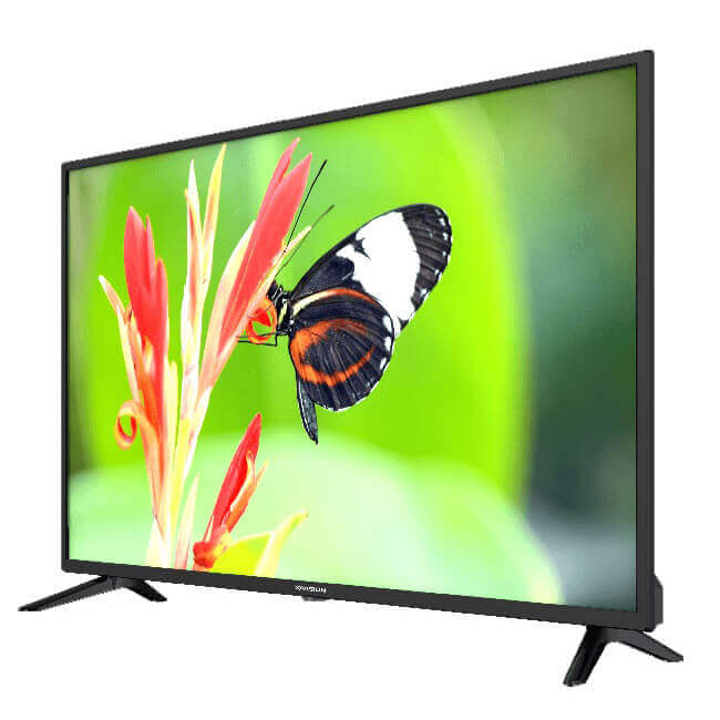 XVision 43XK591